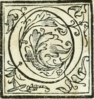 An illustration from Aquila Romana, ouero, Monarchia occidentale da Carlo Magno d'Occidente imperador primo : sino alla coronatione del glorioso Leopoldo Primo : tutti con le loro effigie dal naturale, aggiontiui li geroglifici ed allegorie, inuentione dell' autore (1679)