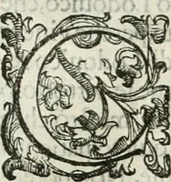 An illustration from Aquila Romana, ouero, Monarchia occidentale da Carlo Magno d'Occidente imperador primo : sino alla coronatione del glorioso Leopoldo Primo : tutti con le loro effigie dal naturale, aggiontiui li geroglifici ed allegorie, inuentione dell' autore (1679)