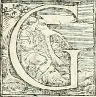 An illustration from Aquila Romana, ouero, Monarchia occidentale da Carlo Magno d'Occidente imperador primo : sino alla coronatione del glorioso Leopoldo Primo : tutti con le loro effigie dal naturale, aggiontiui li geroglifici ed allegorie, inuentione dell' autore (1679)