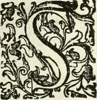 An illustration from Aquila Romana, ouero, Monarchia occidentale da Carlo Magno d'Occidente imperador primo : sino alla coronatione del glorioso Leopoldo Primo : tutti con le loro effigie dal naturale, aggiontiui li geroglifici ed allegorie, inuentione dell' autore (1679)