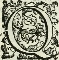 An illustration from Aquila Romana, ouero, Monarchia occidentale da Carlo Magno d'Occidente imperador primo : sino alla coronatione del glorioso Leopoldo Primo : tutti con le loro effigie dal naturale, aggiontiui li geroglifici ed allegorie, inuentione dell' autore (1679)