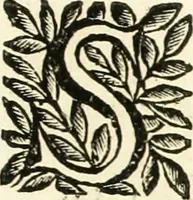 An illustration from Aquila Saxonica : sub qua imperatores Saxones ab Henrico Aucupe, vsquè ad Henricum Sanctum Occidentis imperatorem XV. elogiis, hieroglyphicis, numismatibus, insignibus, symbolis, imaginibus antiquis ad viuum exhibentur exculpti, & longa historiarum serie exarati : vt nihil relictum sit, quod prisci, vel hodierni habeant annales, sed diplomata, leges, indulta, genealogiae, donationes, priuilegia offeruntur congesta : accedit cuique Caesarum tractatus sacrolegalis & historicopoliticus ... (1673)