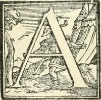 An illustration from Aquila Saxonica : sub qua imperatores Saxones ab Henrico Aucupe, vsquè ad Henricum Sanctum Occidentis imperatorem XV. elogiis, hieroglyphicis, numismatibus, insignibus, symbolis, imaginibus antiquis ad viuum exhibentur exculpti, & longa historiarum serie exarati : vt nihil relictum sit, quod prisci, vel hodierni habeant annales, sed diplomata, leges, indulta, genealogiae, donationes, priuilegia offeruntur congesta : accedit cuique Caesarum tractatus sacrolegalis & historicopoliticus ... (1673)