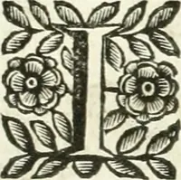 An illustration from Aquila Saxonica : sub qua imperatores Saxones ab Henrico Aucupe, vsquè ad Henricum Sanctum Occidentis imperatorem XV. elogiis, hieroglyphicis, numismatibus, insignibus, symbolis, imaginibus antiquis ad viuum exhibentur exculpti, & longa historiarum serie exarati : vt nihil relictum sit, quod prisci, vel hodierni habeant annales, sed diplomata, leges, indulta, genealogiae, donationes, priuilegia offeruntur congesta : accedit cuique Caesarum tractatus sacrolegalis & historicopoliticus ... (1673)