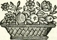 An illustration from Aquila Saxonica : sub qua imperatores Saxones ab Henrico Aucupe, vsquè ad Henricum Sanctum Occidentis imperatorem XV. elogiis, hieroglyphicis, numismatibus, insignibus, symbolis, imaginibus antiquis ad viuum exhibentur exculpti, & longa historiarum serie exarati : vt nihil relictum sit, quod prisci, vel hodierni habeant annales, sed diplomata, leges, indulta, genealogiae, donationes, priuilegia offeruntur congesta : accedit cuique Caesarum tractatus sacrolegalis & historicopoliticus ... (1673)