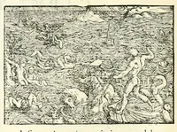 An illustration from Aquila Saxonica : sub qua imperatores Saxones ab Henrico Aucupe, vsquè ad Henricum Sanctum Occidentis imperatorem XV. elogiis, hieroglyphicis, numismatibus, insignibus, symbolis, imaginibus antiquis ad viuum exhibentur exculpti, & longa historiarum serie exarati : vt nihil relictum sit, quod prisci, vel hodierni habeant annales, sed diplomata, leges, indulta, genealogiae, donationes, priuilegia offeruntur congesta : accedit cuique Caesarum tractatus sacrolegalis & historicopoliticus ... (1673)