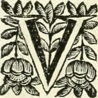 An illustration from Aquila Saxonica : sub qua imperatores Saxones ab Henrico Aucupe, vsquè ad Henricum Sanctum Occidentis imperatorem XV. elogiis, hieroglyphicis, numismatibus, insignibus, symbolis, imaginibus antiquis ad viuum exhibentur exculpti, & longa historiarum serie exarati : vt nihil relictum sit, quod prisci, vel hodierni habeant annales, sed diplomata, leges, indulta, genealogiae, donationes, priuilegia offeruntur congesta : accedit cuique Caesarum tractatus sacrolegalis & historicopoliticus ... (1673)