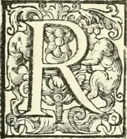 An illustration from Aquila Saxonica : sub qua imperatores Saxones ab Henrico Aucupe, vsquè ad Henricum Sanctum Occidentis imperatorem XV. elogiis, hieroglyphicis, numismatibus, insignibus, symbolis, imaginibus antiquis ad viuum exhibentur exculpti, & longa historiarum serie exarati : vt nihil relictum sit, quod prisci, vel hodierni habeant annales, sed diplomata, leges, indulta, genealogiae, donationes, priuilegia offeruntur congesta : accedit cuique Caesarum tractatus sacrolegalis & historicopoliticus ... (1673)