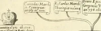 An illustration from Aquila Saxonica : sub qua imperatores Saxones ab Henrico Aucupe, vsquè ad Henricum Sanctum Occidentis imperatorem XV. elogiis, hieroglyphicis, numismatibus, insignibus, symbolis, imaginibus antiquis ad viuum exhibentur exculpti, & longa historiarum serie exarati : vt nihil relictum sit, quod prisci, vel hodierni habeant annales, sed diplomata, leges, indulta, genealogiae, donationes, priuilegia offeruntur congesta : accedit cuique Caesarum tractatus sacrolegalis & historicopoliticus ... (1673)