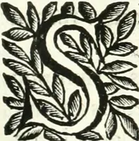 An illustration from Aquila Saxonica : sub qua imperatores Saxones ab Henrico Aucupe, vsquè ad Henricum Sanctum Occidentis imperatorem XV. elogiis, hieroglyphicis, numismatibus, insignibus, symbolis, imaginibus antiquis ad viuum exhibentur exculpti, & longa historiarum serie exarati : vt nihil relictum sit, quod prisci, vel hodierni habeant annales, sed diplomata, leges, indulta, genealogiae, donationes, priuilegia offeruntur congesta : accedit cuique Caesarum tractatus sacrolegalis & historicopoliticus ... (1673)