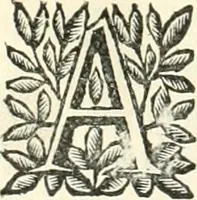 An illustration from Aquila Saxonica : sub qua imperatores Saxones ab Henrico Aucupe, vsquè ad Henricum Sanctum Occidentis imperatorem XV. elogiis, hieroglyphicis, numismatibus, insignibus, symbolis, imaginibus antiquis ad viuum exhibentur exculpti, & longa historiarum serie exarati : vt nihil relictum sit, quod prisci, vel hodierni habeant annales, sed diplomata, leges, indulta, genealogiae, donationes, priuilegia offeruntur congesta : accedit cuique Caesarum tractatus sacrolegalis & historicopoliticus ... (1673)