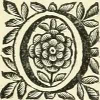 An illustration from Aquila Saxonica : sub qua imperatores Saxones ab Henrico Aucupe, vsquè ad Henricum Sanctum Occidentis imperatorem XV. elogiis, hieroglyphicis, numismatibus, insignibus, symbolis, imaginibus antiquis ad viuum exhibentur exculpti, & longa historiarum serie exarati : vt nihil relictum sit, quod prisci, vel hodierni habeant annales, sed diplomata, leges, indulta, genealogiae, donationes, priuilegia offeruntur congesta : accedit cuique Caesarum tractatus sacrolegalis & historicopoliticus ... (1673)