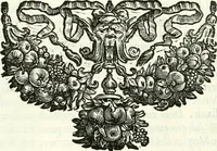 An illustration from Aquila Sueua, sub qua imperatores Sueui a Conrado III vsquè ad Conradum IV Occidentis imperatorem XXVII : elogiis, hieroglyphicis, numismatibus, insignibus, symbolis, imaginibus antiquis ad viuum exhibentur exculpti, & longa historiarum serie exarati : vt nihil relictum sit, quod prisci vel hodierni habeant annales, sed diplomata, leges, indulta, genealogiae, donationes, priuilegia offeruntur congesta : inseruntur et regum principumque imagines, nummi honorarij, castrenses, triumphales, votiui, missiles, &c. qui sanguine, foedere, bello Imperatoribus iuncti, occurrunt in opere : accedit cuique caesarum tractatus sacrolegalis & historicopoliticus ... (1679)
