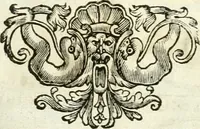 An illustration from Aquila vaga, sub qua ex diuersis nationibus et familijs a VVilhelmo Hollando vsquè ad Sigismundum Lutzelburgium occidentis imperatorem XXXIX. elogijs, hieroglyphicis, numismatibus, insignibus, symbolis, imaginibus antiquis ad viuum exhibentur exculpti, & longa historiarum serie exarati ... (1679)