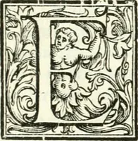 An illustration from Aquila vaga, sub qua ex diuersis nationibus et familijs a VVilhelmo Hollando vsquè ad Sigismundum Lutzelburgium occidentis imperatorem XXXIX. elogijs, hieroglyphicis, numismatibus, insignibus, symbolis, imaginibus antiquis ad viuum exhibentur exculpti, & longa historiarum serie exarati ... (1679)