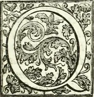 An illustration from Aquila vaga, sub qua ex diuersis nationibus et familijs a VVilhelmo Hollando vsquè ad Sigismundum Lutzelburgium occidentis imperatorem XXXIX. elogijs, hieroglyphicis, numismatibus, insignibus, symbolis, imaginibus antiquis ad viuum exhibentur exculpti, & longa historiarum serie exarati ... (1679)