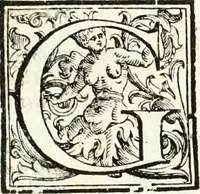 An illustration from Aquila vaga, sub qua ex diuersis nationibus et familijs a VVilhelmo Hollando vsquè ad Sigismundum Lutzelburgium occidentis imperatorem XXXIX. elogijs, hieroglyphicis, numismatibus, insignibus, symbolis, imaginibus antiquis ad viuum exhibentur exculpti, & longa historiarum serie exarati ... (1679)