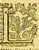 An illustration from Arabia, seu, Arabum vicinarumq[ue] gentium Orientalium leges, ritus, sacri et profani mores, instituta et historia : accedunt praeterea varia per Arabuam itinera, in quibus multa notatu digna enarrantur (1633)