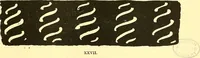 An illustration from Arbor vitae : a book on the nature & development of imaginative design for the use of teachers, handicraftsmen & others (1910)