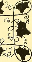 An illustration from Arbor vitae : a book on the nature & development of imaginative design for the use of teachers, handicraftsmen & others (1910)