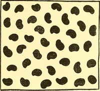 An illustration from Arbor vitae : a book on the nature & development of imaginative design for the use of teachers, handicraftsmen & others (1910)