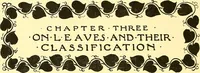 An illustration from Arbor vitae : a book on the nature & development of imaginative design for the use of teachers, handicraftsmen & others (1910)