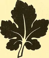 An illustration from Arbor vitae : a book on the nature & development of imaginative design for the use of teachers, handicraftsmen & others (1910)