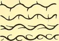 An illustration from Arbor vitae : a book on the nature & development of imaginative design for the use of teachers, handicraftsmen & others (1910)
