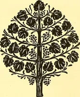 An illustration from Arbor vitae : a book on the nature & development of imaginative design for the use of teachers, handicraftsmen & others (1910)
