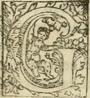 Picture 5 of 5 from Arcadia di messer Giacomo Sannazaro nobile napolitano (1548), leaf 7