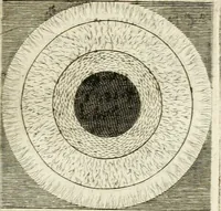 An illustration from Archaelogiae philosophicae : sive, doctrina antiqua de rerum originibus, libri duo (1692)