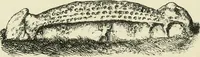 An illustration from Archaeological essays (1872)