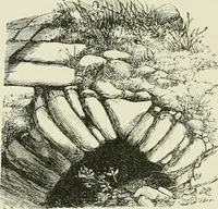 Picture 10 of 21 from Archaeological essays (1872), leaf 121