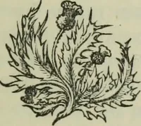 An illustration from Archaeological notes on early Scotland : relating more particularly to the Stracathro district of Strathmore in Angus ; also some account of local antiquities and place names, with map, plan, and appendix (1896)