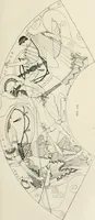 An illustration from Archaeologische Hermeneutik; Anleitung zur Deutung klassischer Bildwerke (1919)