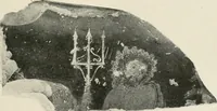 Picture 261 of 282 from Archaeologische Hermeneutik; Anleitung zur Deutung klassischer Bildwerke (1919), leaf 374