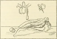 Picture 38 of 318 from Archaic England, an essay in deciphering prehistory from megalithic monuments, earthworks, customs, coins, placenames, and faeric superstitions (1919), leaf 187