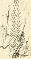 An illustration from Archaic England, an essay in deciphering prehistory from megalithic monuments, earthworks, customs, coins, placenames, and faeric superstitions (1919)