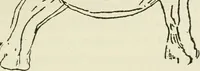 An illustration from Archaic England, an essay in deciphering prehistory from megalithic monuments, earthworks, customs, coins, placenames, and faeric superstitions (1919)