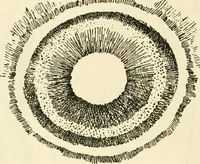 An illustration from Archaic England, an essay in deciphering prehistory from megalithic monuments, earthworks, customs, coins, placenames, and faeric superstitions (1919)