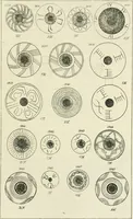 An illustration from Archaic England, an essay in deciphering prehistory from megalithic monuments, earthworks, customs, coins, placenames, and faeric superstitions (1919)