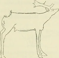 An illustration from Archaic England, an essay in deciphering prehistory from megalithic monuments, earthworks, customs, coins, placenames, and faeric superstitions (1919)