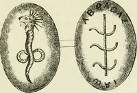 An illustration from Archaic England, an essay in deciphering prehistory from megalithic monuments, earthworks, customs, coins, placenames, and faeric superstitions (1919)