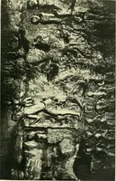 An illustration from Archaic England, an essay in deciphering prehistory from megalithic monuments, earthworks, customs, coins, placenames, and faeric superstitions (1919)