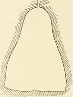 An illustration from Archaic England, an essay in deciphering prehistory from megalithic monuments, earthworks, customs, coins, placenames, and faeric superstitions (1919)