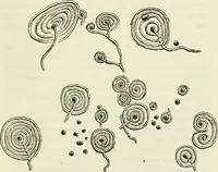 An illustration from Archaic England, an essay in deciphering prehistory from megalithic monuments, earthworks, customs, coins, placenames, and faeric superstitions (1919)