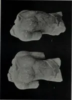 An illustration from Archaiologik ephmeris : ekdidomen hypo ts en Athnais Archaiologiks Hetairias (1862)