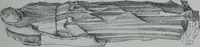 An illustration from Archaiologik ephmeris : ekdidomen hypo ts en Athnais Archaiologiks Hetairias (1862)