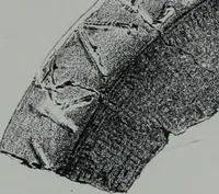Picture 67 of 80 from Archaiologik ephmeris : ekdidomen hypo ts en Athnais Archaiologiks Hetairias (1862), leaf 278