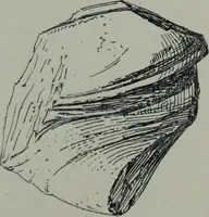An illustration from Archaiologik ephmeris : ekdidomen hypo ts en Athnais Archaiologiks Hetairias (1862)
